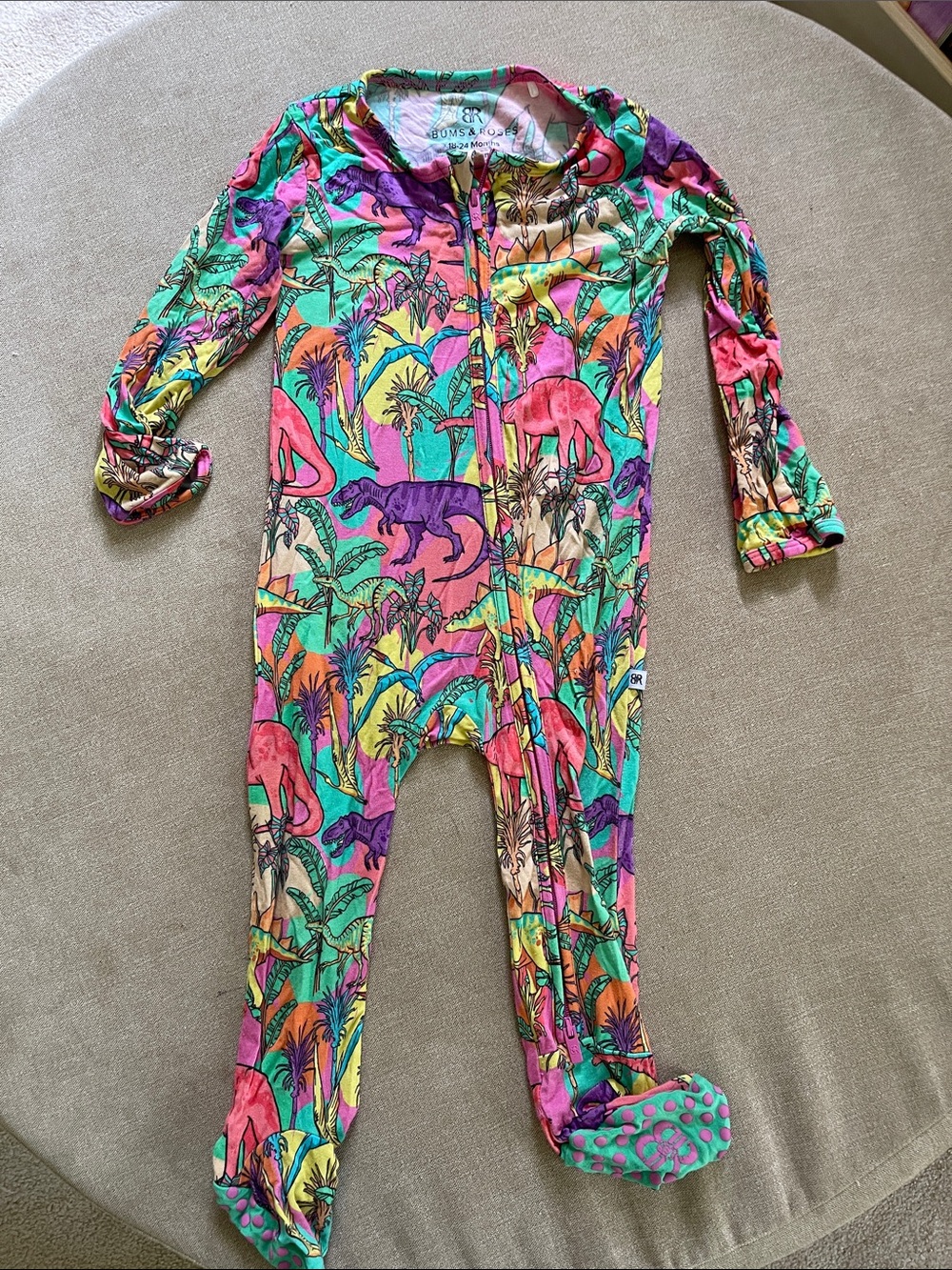 Bums and Roses Multicolor Dino Print One-Piece